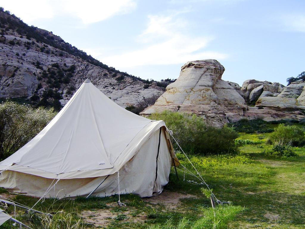 Rummana Campsite Dana Bagian luar foto
